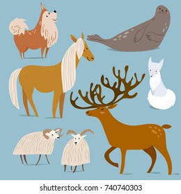 Vector illustration of different arctic animals