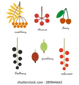 Vector illustration of different berries in flat style on a white background. Eps 10.