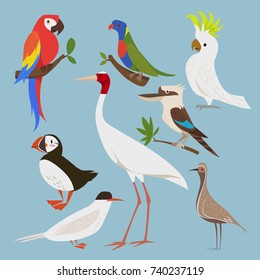 Vector illustration of different birds. 