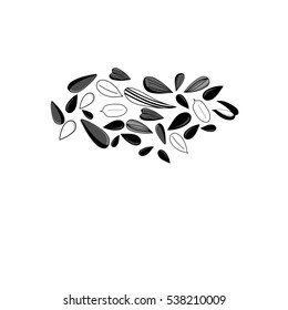 Vector illustration of different black seeds on a white background