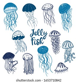 Vector illustration of different blue silhouettes jellyfish