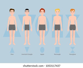 Vector illustration of different body shape types characters standing beauty figure cartoon model.