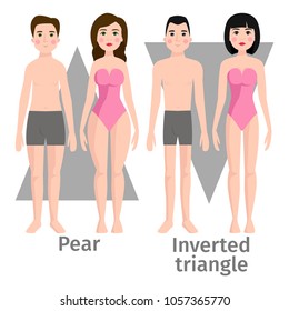 Vector illustration of different body shape types characters standing beauty figure cartoon model.