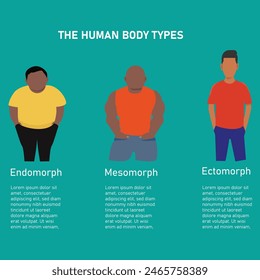 Vector illustration of the different body types