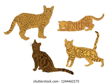 Vector illustration of different breeds of cats. Cute cats with coloring wild cats.