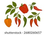 Vector illustration of different chili peppers with green leaves including red and orange varieties in flat style.