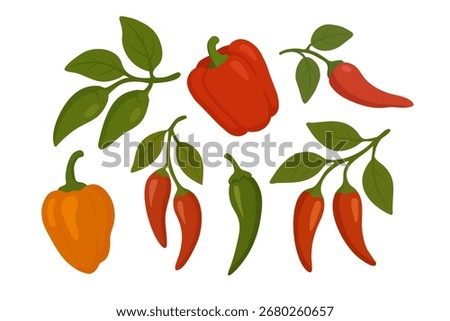 Vector illustration of different chili peppers with green leaves including red and orange varieties in flat style.