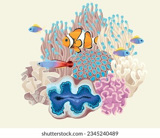 Vector illustration of different corals and fish