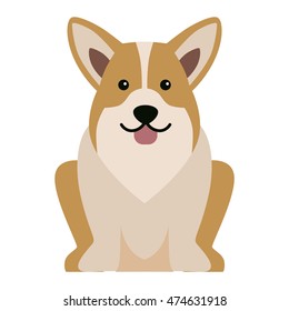 Vector illustration of different dogs breed isolated on white background