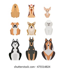 Vector illustration of different dogs breed isolated on white background