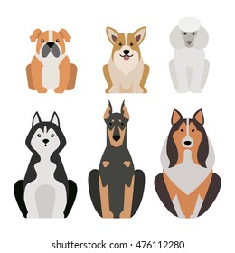 Vector illustration of different dogs breed isolated on white background