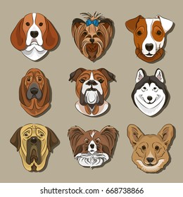 Vector illustration of different dogs breed