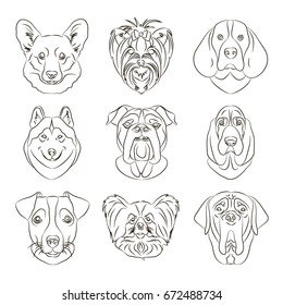 Vector illustration of different dogs breed