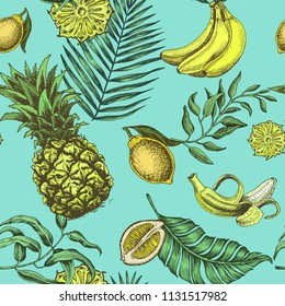 Vector illustration with different exotic leaves and fruits. Vector illustration fruit pattern.