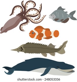 vector illustration of different fish