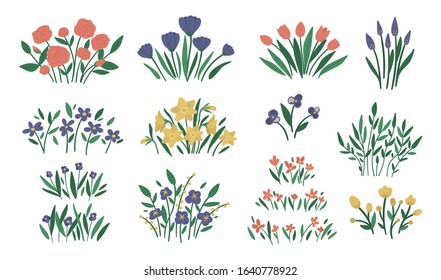 Vector illustration of different flower arrangements. Garden decorative plants bouquets. Collection of beautiful spring and summer herbs and flowers