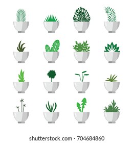 vector illustration of different flower pots grid for green interior decoration in minimalistic style