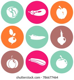 Vector illustration of different food icons