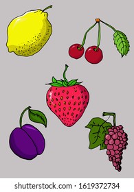 vector illustration of different fruits