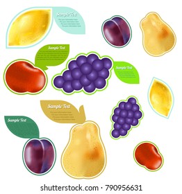 Vector illustration of different fruits. Vector illustration of lemon, plum, grape, pear, apple