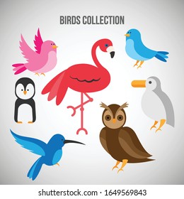 Vector illustration of different kind of birds. Cute cartoon birds. Vector illustration