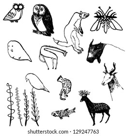 A vector illustration of different kinds of animals and plants.