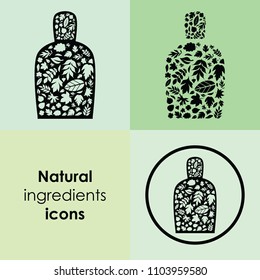 vector illustration of different leaves in bottle shape design for natural cosmetics and plant based remedies packaging and logo