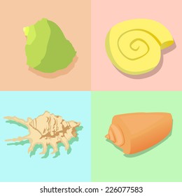 Vector illustration of different Nautilus shells