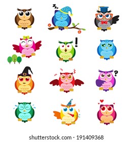 A vector illustration of different owls with different expressions