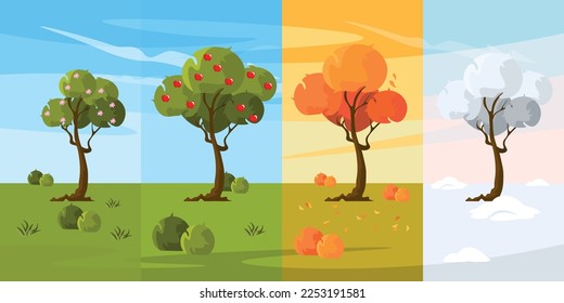 Vector illustration of different seasons. Cartoon landscape with trees that grows in the year, blooms in spring, bears fruit in summer, leaves turn yellow in autumn and is covered with snow in winter.