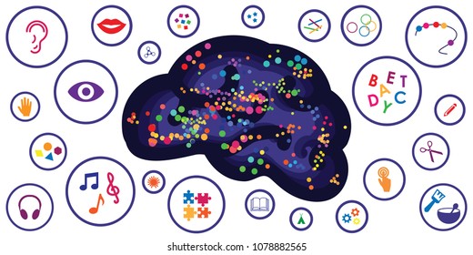 vector illustration of different sensory toys and motor skills tools for brain and thinking development