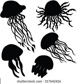 Vector illustration of different silhouettes jellyfish