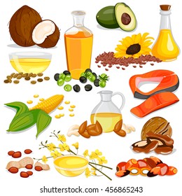 vector illustration of Different Sources of Edible Oil Collection