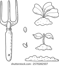 Vector illustration of different stages of growing plants. Suitable for use on websites, articles, labels, packaging. Gardening tools. Growing vegetables. Spring greenhouse plants, seedlings