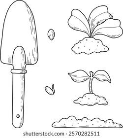 Vector illustration of different stages of growing plants. Suitable for use on websites, articles, labels, packaging. Gardening tools. Growing vegetables. Spring greenhouse plants, seedlings