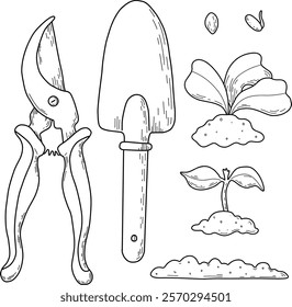 Vector illustration of different stages of growing plants. Suitable for use on websites, articles, labels, packaging. Gardening tools. Growing vegetables. Spring greenhouse plants, seedlings