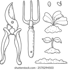 Vector illustration of different stages of growing plants. Suitable for use on websites, articles, labels, packaging. Gardening tools. Growing vegetables. Spring greenhouse plants, seedlings