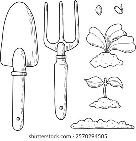 Vector illustration of different stages of growing plants. Suitable for use on websites, articles, labels, packaging. Gardening tools. Growing vegetables. Spring greenhouse plants, seedlings