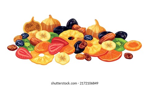 Vector illustration of different tasty dried fruits isolated on a white background. Group of dried fruits in flat and cartoon styles. Healthy food.