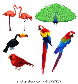 A vector illustration of different type of bird icons