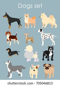 Vector illustration of different type of cartoon dogs. Dogs set in cartoon flat style on light blue background.