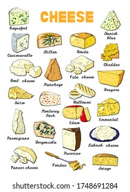 Vector Illustration Different Types Cheese Elements Stock Vector ...