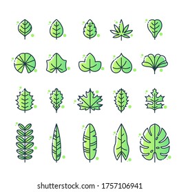Vector illustration of different types of leaf icon set. Floral elements collection.