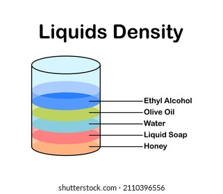 Vector illustration of different types of liquid densities. in a clear glass on a white background