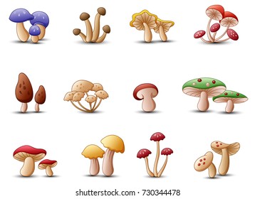 Vector illustration of Different types of mushrooms on a white background