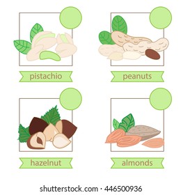 vector illustration - different types of nuts: peanuts, hazelnuts, pistachios, almonds