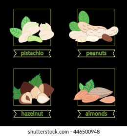 vector illustration - different types of nuts: peanuts, hazelnuts, pistachios, almonds