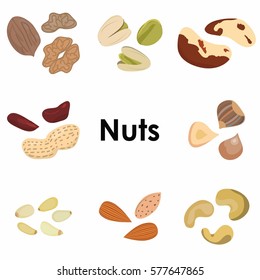 vector illustration of  different types of nuts colorful icons 