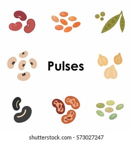 vector illustration of  different types of pulses colorful icons 