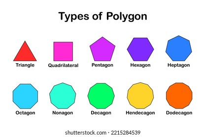 Vector illustration of different types of regular polygons on white background.